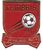 A red emblem with a football ball

Description automatically generated