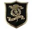 livingston_fc_pin_badge_club_crest__12549